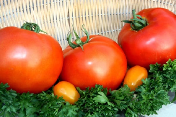 tomaattirasvaa