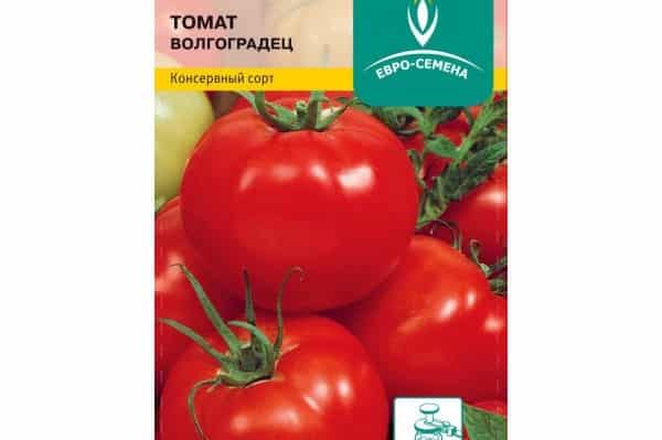 variedad de tomate Volgogradets