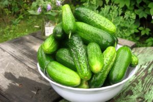 Paglalarawan ng ang pinakamahusay na mga pickling varieties ng mga pipino para sa bukas na lupa