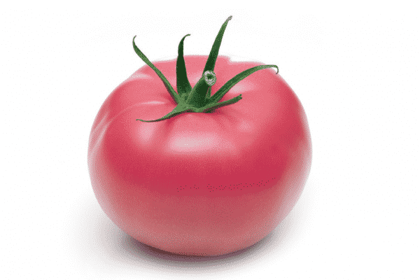 tomaatti vaaleanpunainen enkeli ulkonäkö