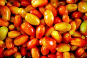 Descrizione della varietà di pomodoro Irene, caratteristiche di coltivazione e cura