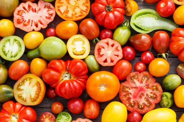 forskellige sorter af tomat