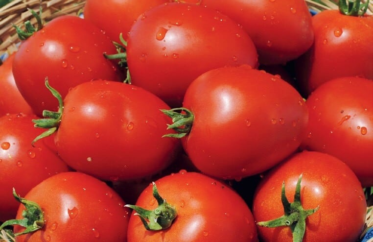 Namib pomidorų išvaizda
