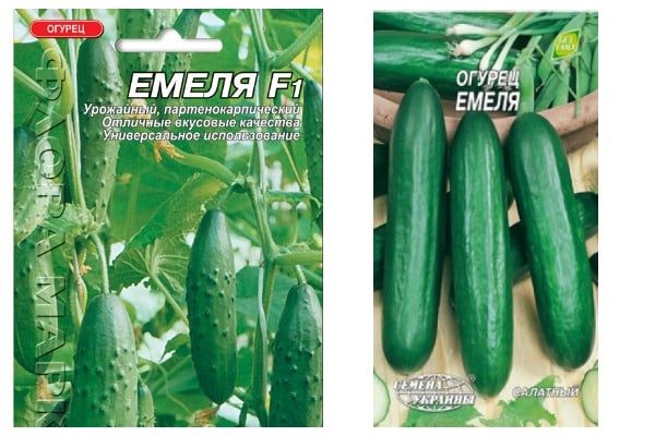 Emelya Cucumber seeds