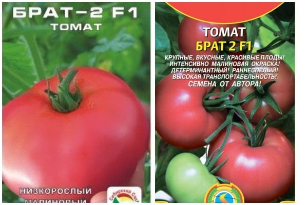 tomato seeds Brother 2 f1