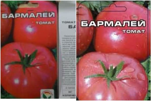 tomatfrø Barmaley