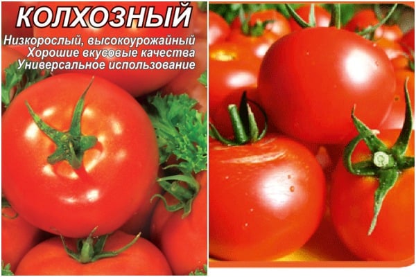 tomatenzaden van de collectieve boerderij