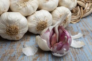Popis odrůdy, pěstování a péče o česnek Sail