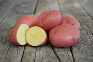 Opis odmiany ziemniaka Rodrigo, jej właściwości i zalecenia dotyczące uprawy
