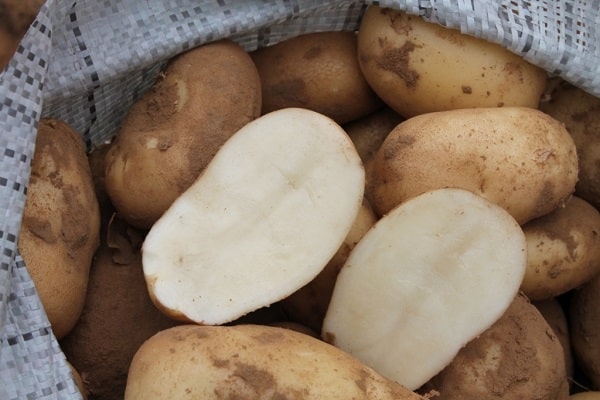 fortuna delle patate