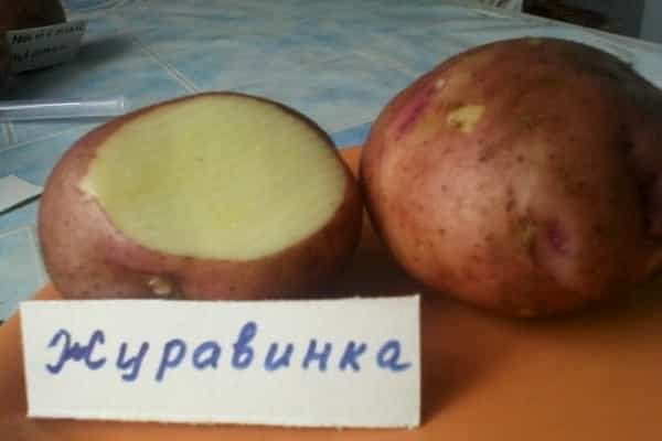 bulvės Zhuravinka