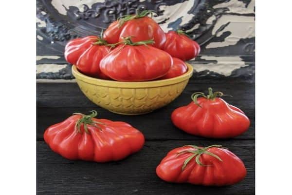 pomidorų luizė