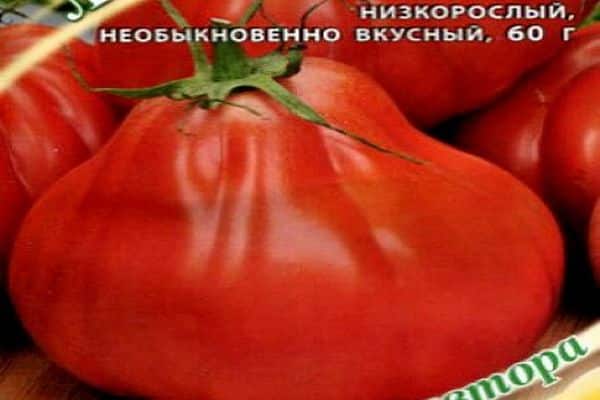 tomatsort frø