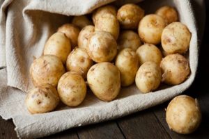 De voordelen en nadelen van jonge aardappelen, hoe ze moeten ontkiemen en wanneer ze moeten worden geplant