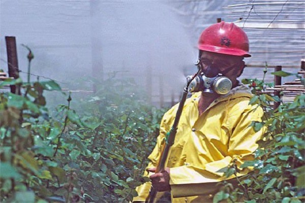 pesticīdu lietošana