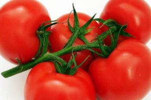 Mô tả về giống cà chua Nam Cực, đặc điểm và cách trồng của nó