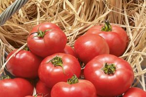 Beschrijving van de variëteit van tomaat Erofeich roze, kenmerken van teelt en verzorging
