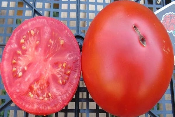 tomatoes are not deformed