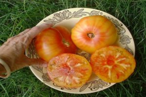 Description of the tomato variety Hawaiian pineapple, features of cultivation and care