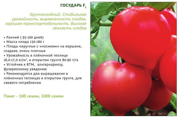 tomate soberano