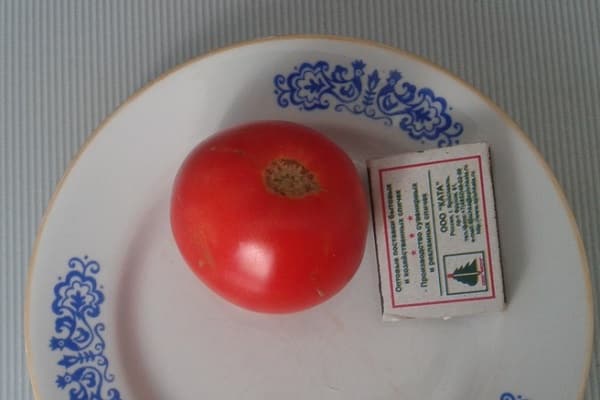 cyprus ako paradajka