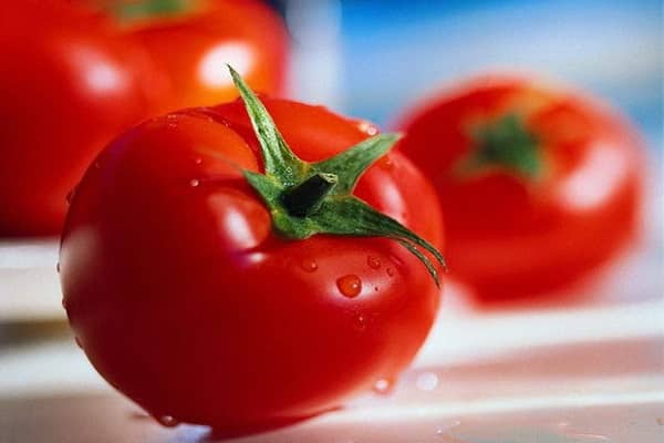 tomaat Ksenia