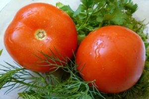Descrizione della varietà di pomodoro Maksimka, coltivazione e cura