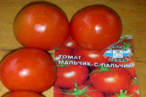 Beschrijving van de tomatenvariëteit Jongen met een vinger, kenmerken van teelt en verzorging