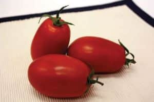 Beskrivelse af tomatsorten Marianna F1, dens egenskaber og udbytte
