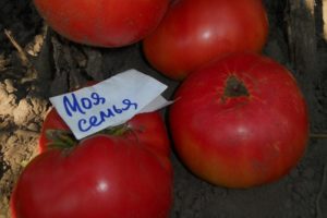 Beschrijving van het tomatenras Mijn familie, teeltkenmerken en opbrengst