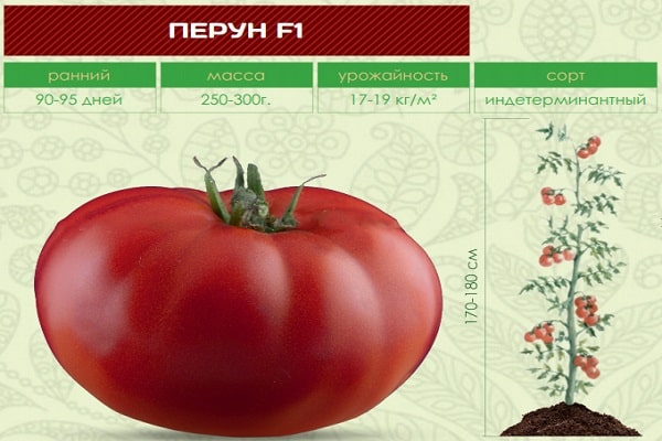 verscheidenheid aan tomaten