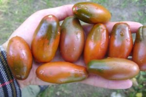 Descrizione della varietà di pomodoro Icicle black, caratteristiche di coltivazione