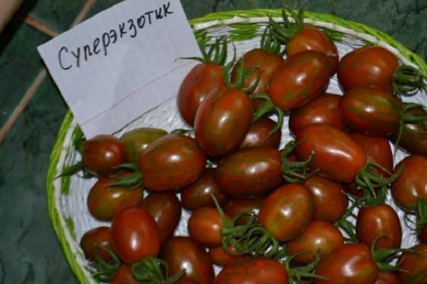 paradajka superexotická