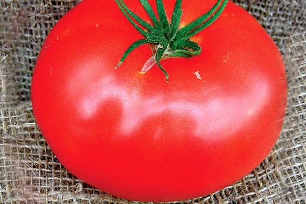 Tomaten Ass