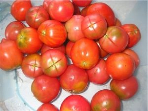 Beskrivelse af Kolkhozny-tomatsorten, dens egenskaber og udbytte