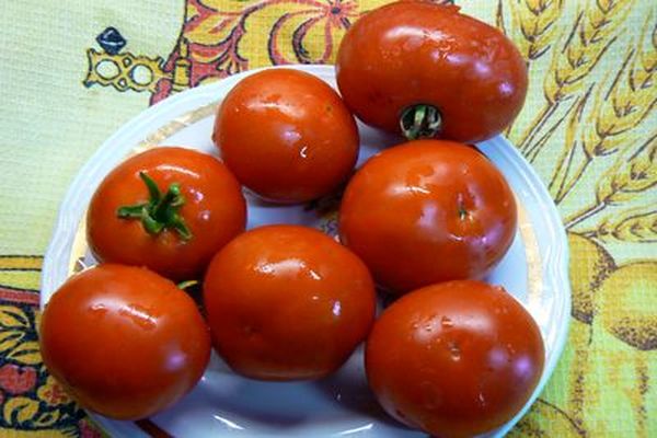 tomat på en tallerken