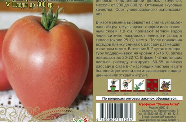 tomatenzaden