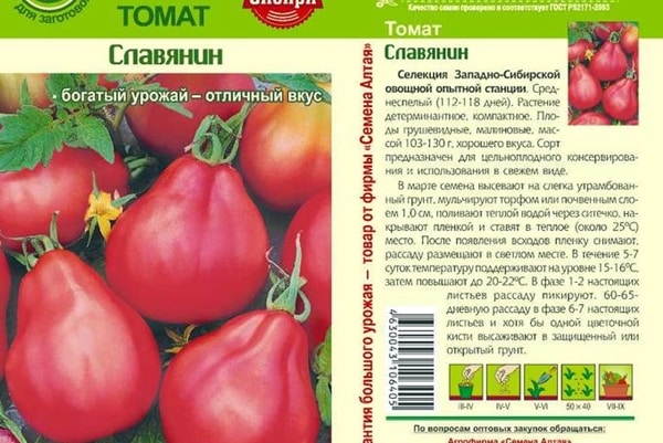 pomidorų slavų išvaizda