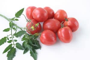 Descrizione della varietà di pomodoro Talisman, caratteristiche di coltivazione e cura