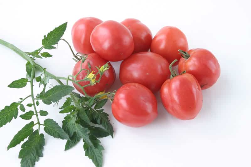 Aussehen des Tomatenmaskottchens