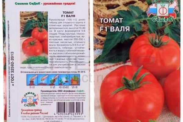 pakkaus siementen tomaattia