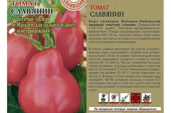 pomidorų sėklos Slav