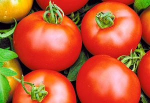 Opis sorte rajčice Voskhod, njegove karakteristike i uzgoj