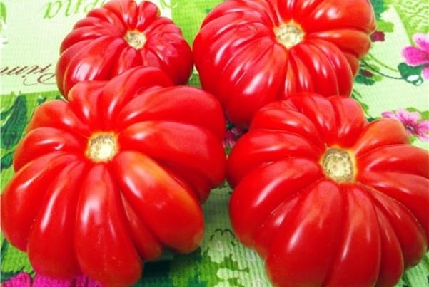 izskats tomātu mārciņa Rosamarin