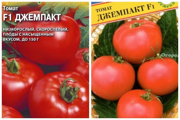 paradajkové semená djempakt