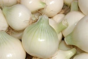 Korzyści i szkody białej cebuli, odmiany odmian, zasady przechowywania i zbioru