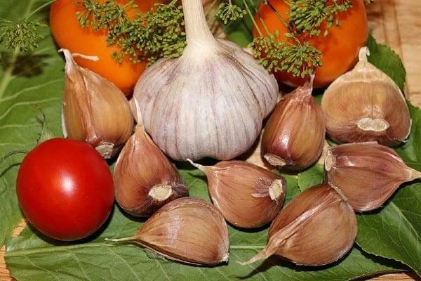 garlic Bogatyr