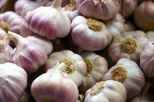 Dobrynya garlic
