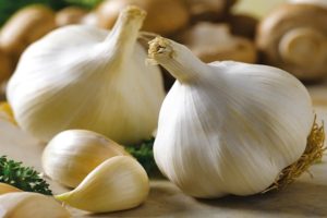 Descrizione della varietà di aglio Gulliver, caratteristiche di coltivazione e cura