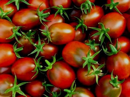 udseende af Ustinya tomat